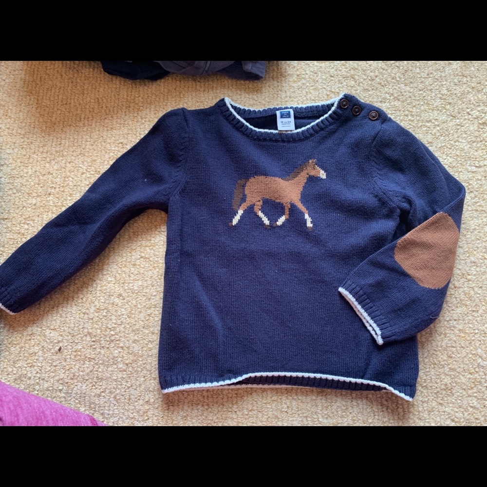 Janie and jack sweater horse